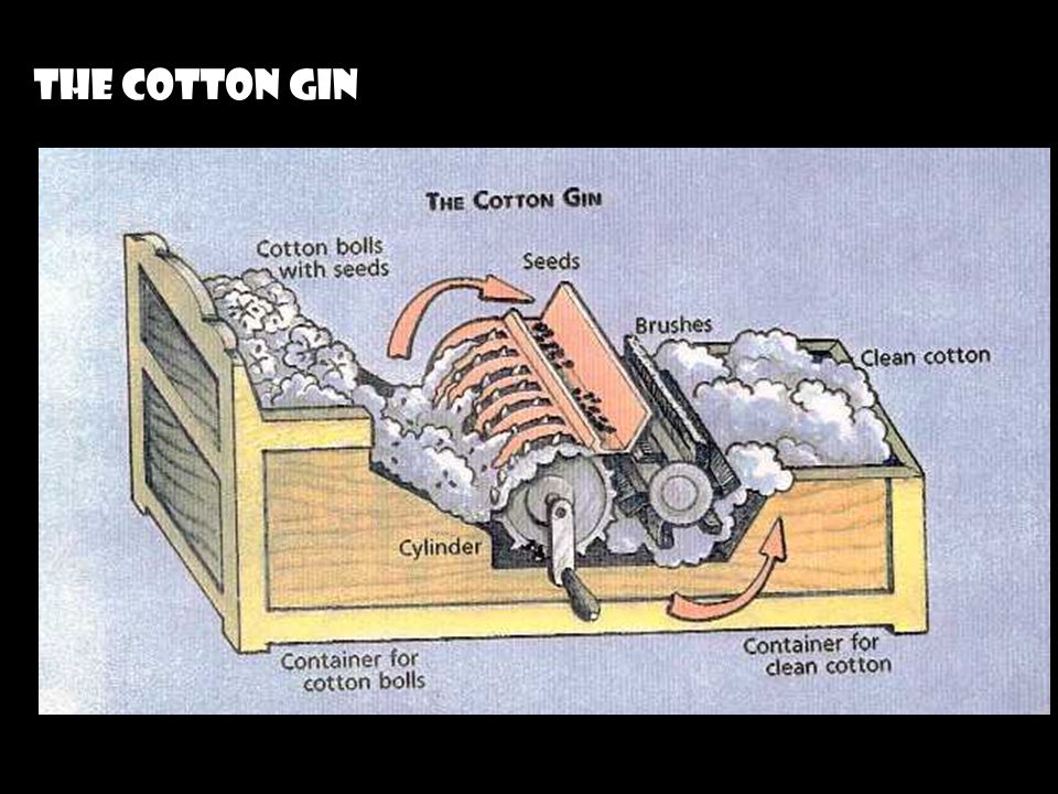THE COTTON GIN