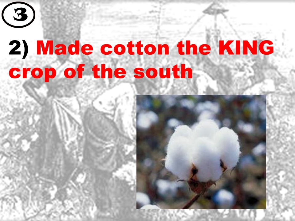 2) Made cotton the KING crop of the south 3