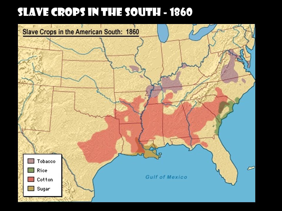 SLAVE CROPS IN THE SOUTH