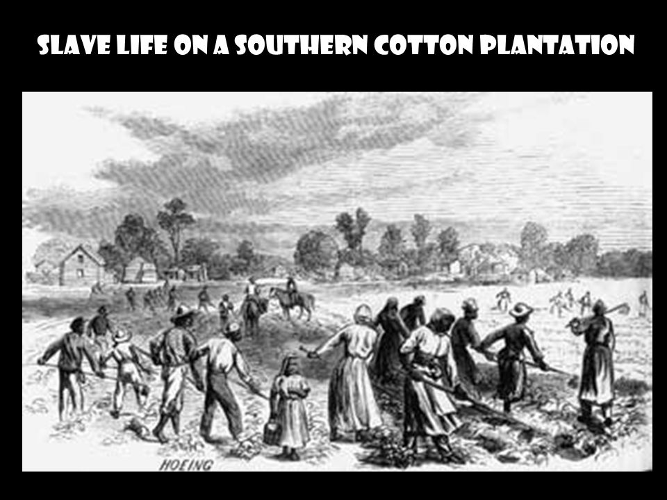 SLAVE LIFE ON A SOUTHERN COTTON PLANTATION