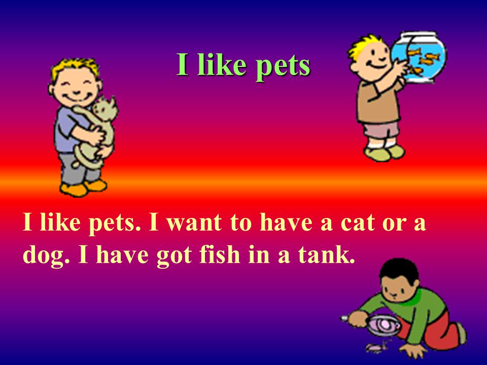 I like pets I like pets. I want to have a cat or a dog. I have got fish in a tank.