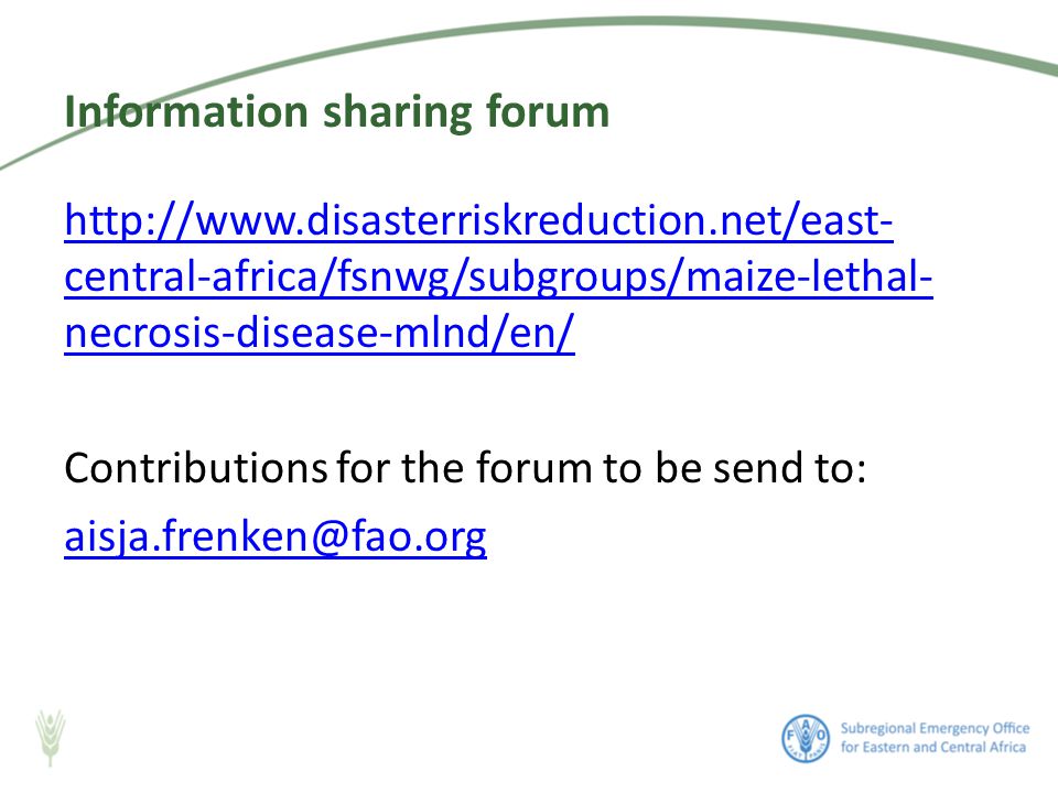 central-africa/fsnwg/subgroups/maize-lethal- necrosis-disease-mlnd/en/ Contributions for the forum to be send to: Information sharing forum