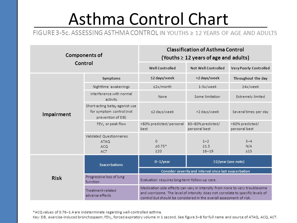exercise induced asthma essay exercise induced asthma essay