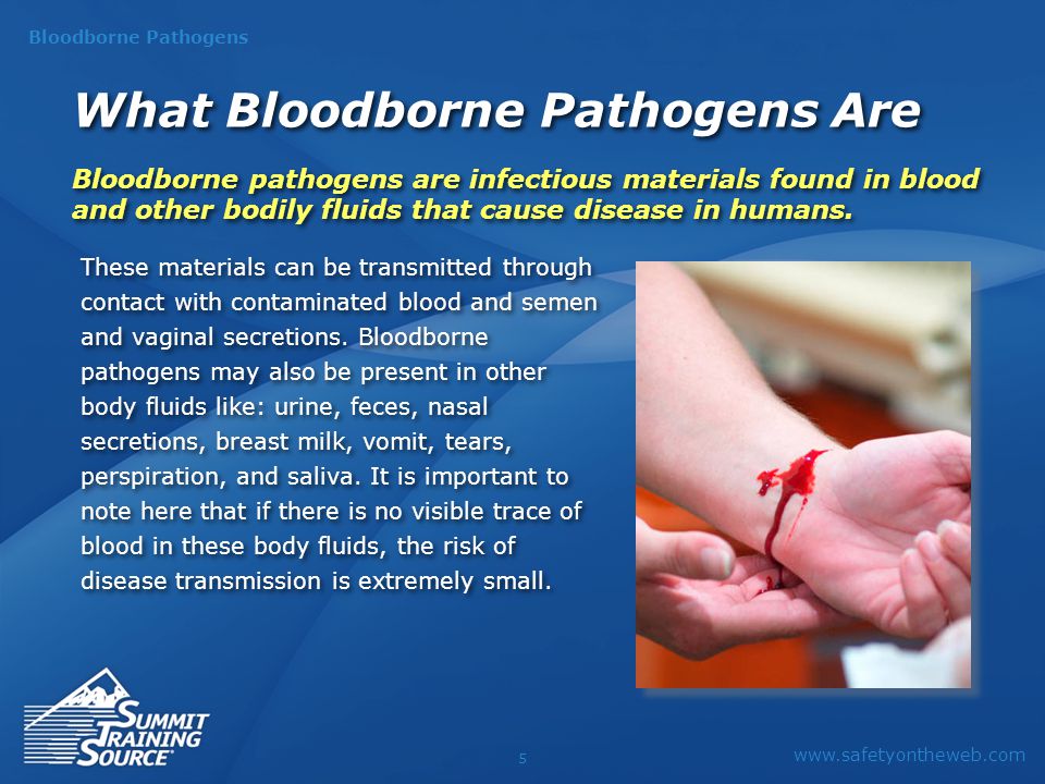 blood borne pathogens Bloodborne pathogens self-study unit bloodborne pathogens are an occupational hazard for employees who may be exposed to blood and other potentially infectious. blood borne pathogens Bloodborne pathogens self-study unit bloodborne pathogens are an occupational hazard for employees who may be exposed to blood and other potentially infectious.