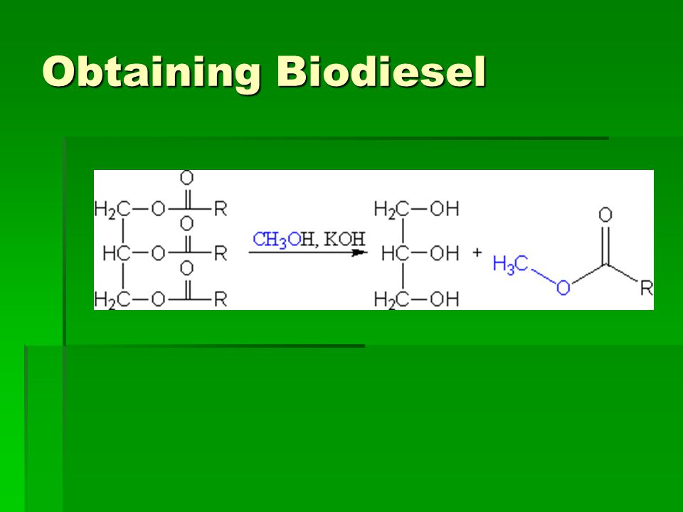 Obtaining Biodiesel