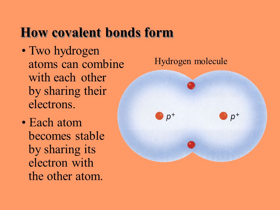 Section 6.1 Summary – pages Two hydrogen atoms can combine with each other by sharing their electrons.