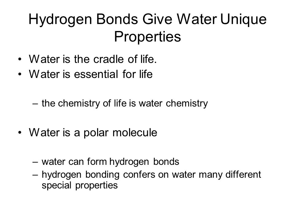 Hydrogen Bonds Give Water Unique Properties Water is the cradle of life.