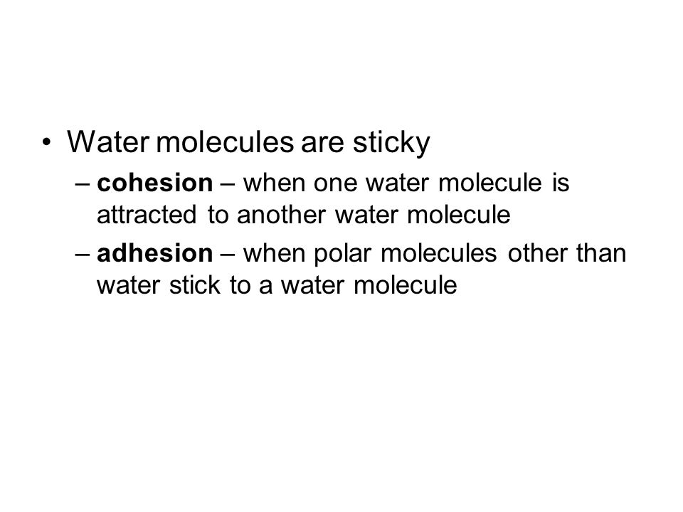 Water molecules are sticky –cohesion – when one water molecule is attracted to another water molecule –adhesion – when polar molecules other than water stick to a water molecule