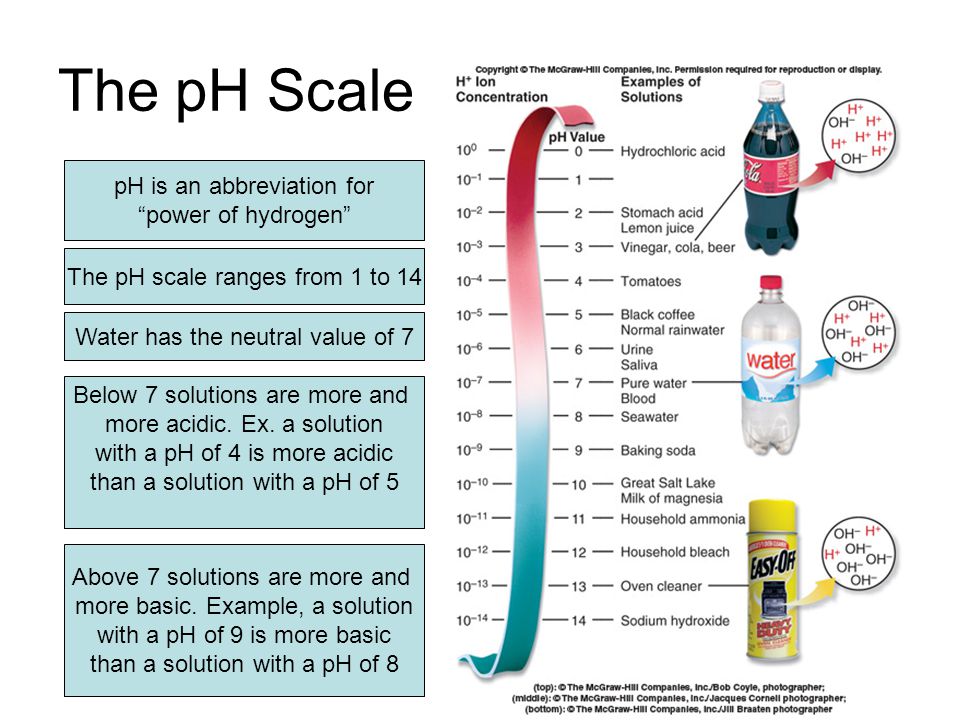 The pH Scale pH is an abbreviation for power of hydrogen The pH scale ranges from 1 to 14 Water has the neutral value of 7 Below 7 solutions are more and more acidic.