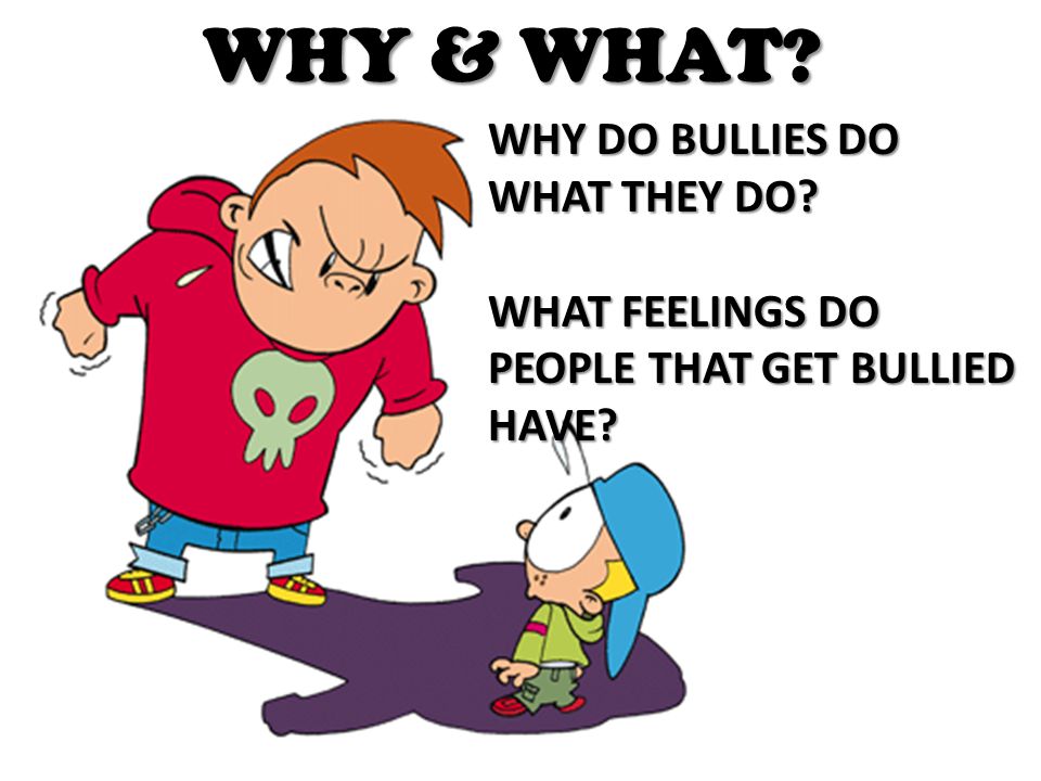 WHY & WHAT WHY DO BULLIES DO WHAT THEY DO WHAT FEELINGS DO PEOPLE THAT GET BULLIED HAVE