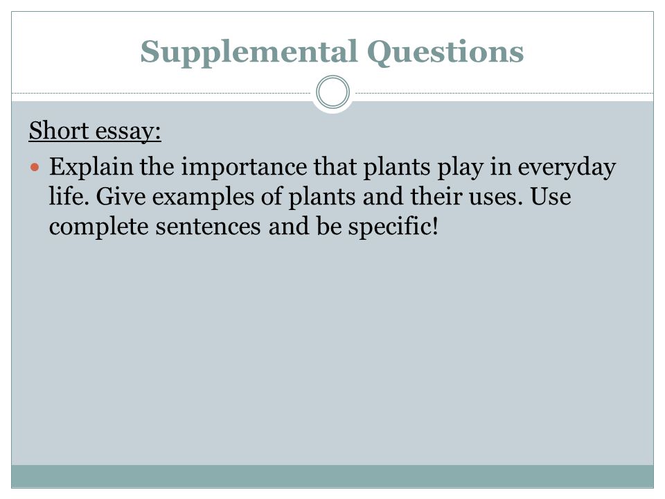 chicago style endnotes example paper.jpg