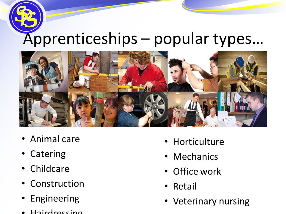 Apprenticeships – popular types… Animal care Catering Childcare Construction Engineering Hairdressing Horticulture Mechanics Office work Retail Veterinary nursing