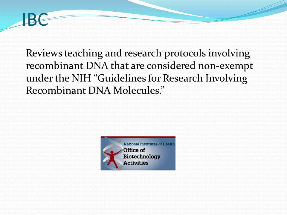 IBC Reviews teaching and research protocols involving recombinant DNA that are considered non-exempt under the NIH Guidelines for Research Involving Recombinant DNA Molecules.