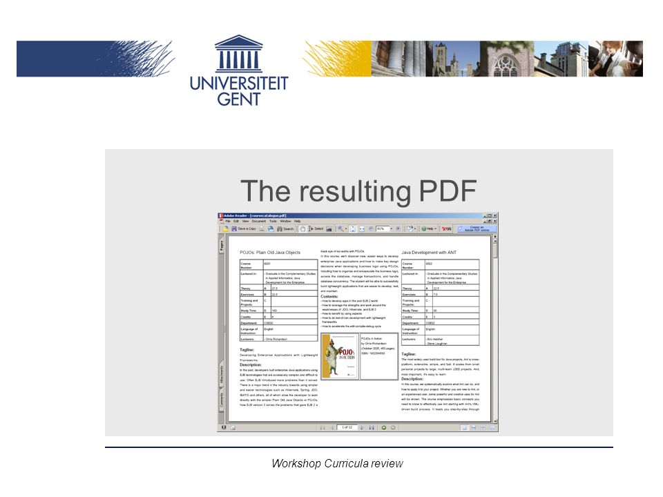 Workshop Curricula review The resulting PDF