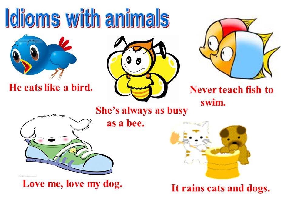 she"s always as busy as a bee. never teach fish to swi