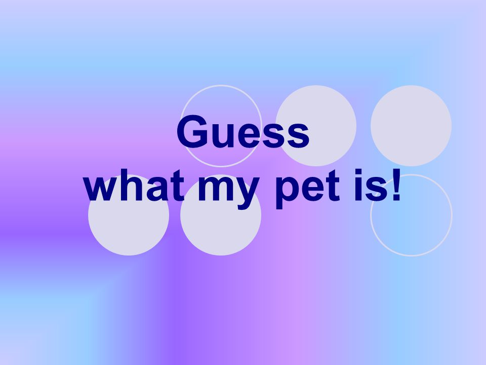 Guess what my pet is!