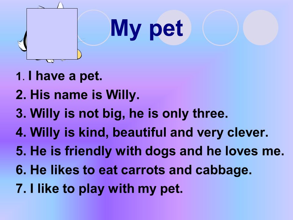 My pet 1. I have a pet. 2. His name is Willy. 3.