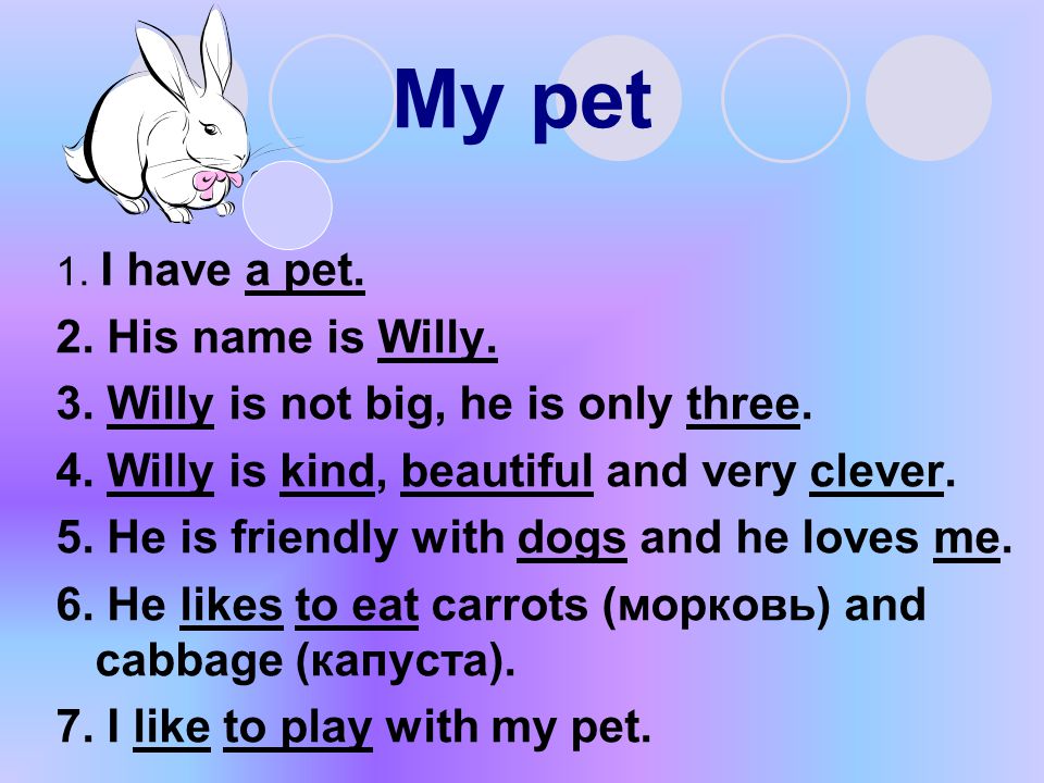 My pet 1. I have a pet. 2. His name is Willy. 3.