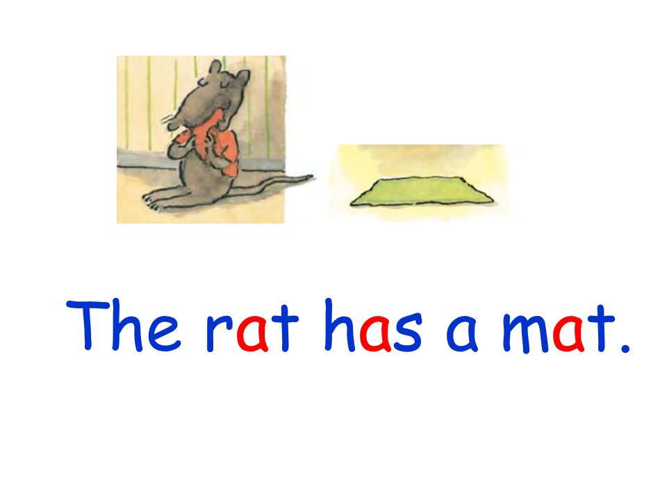The rat has a mat.