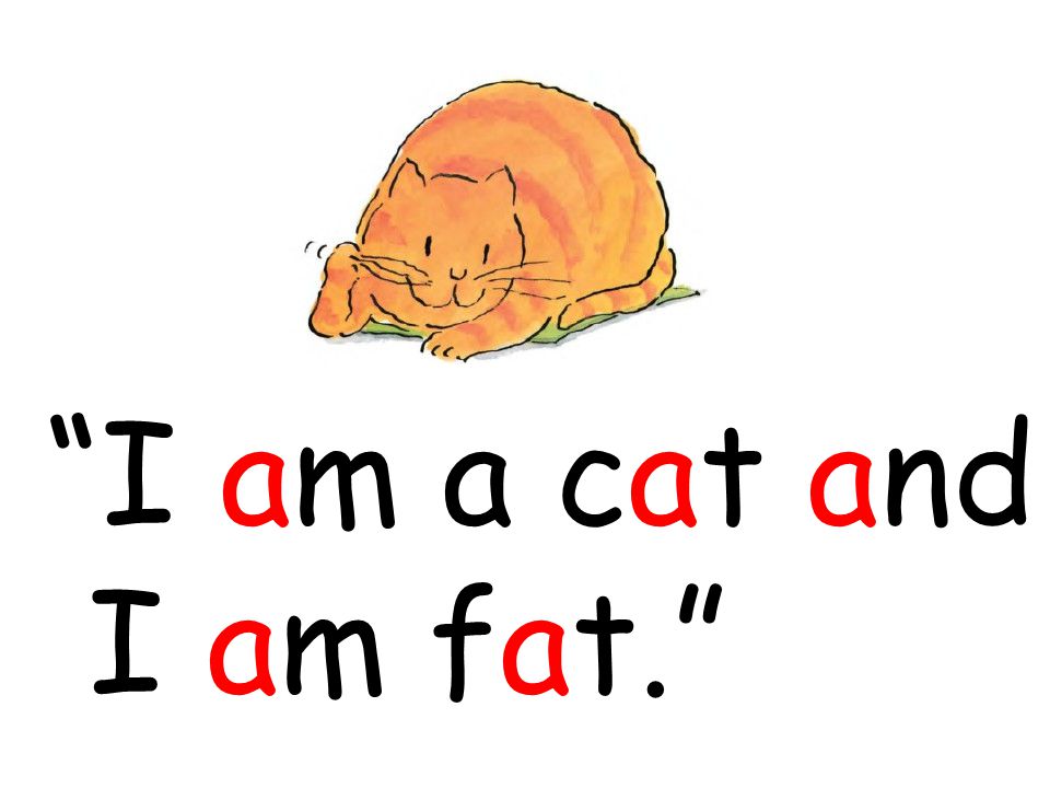 I am a cat and I am fat.