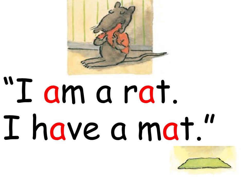 I am a rat. I have a mat.