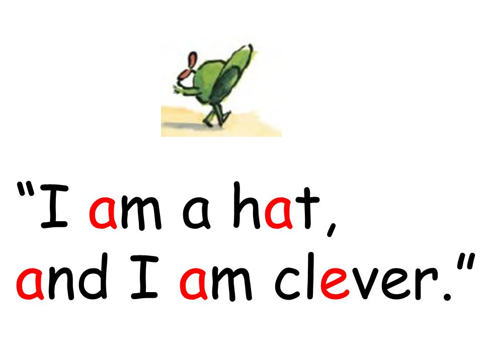 I am a hat, and I am clever.