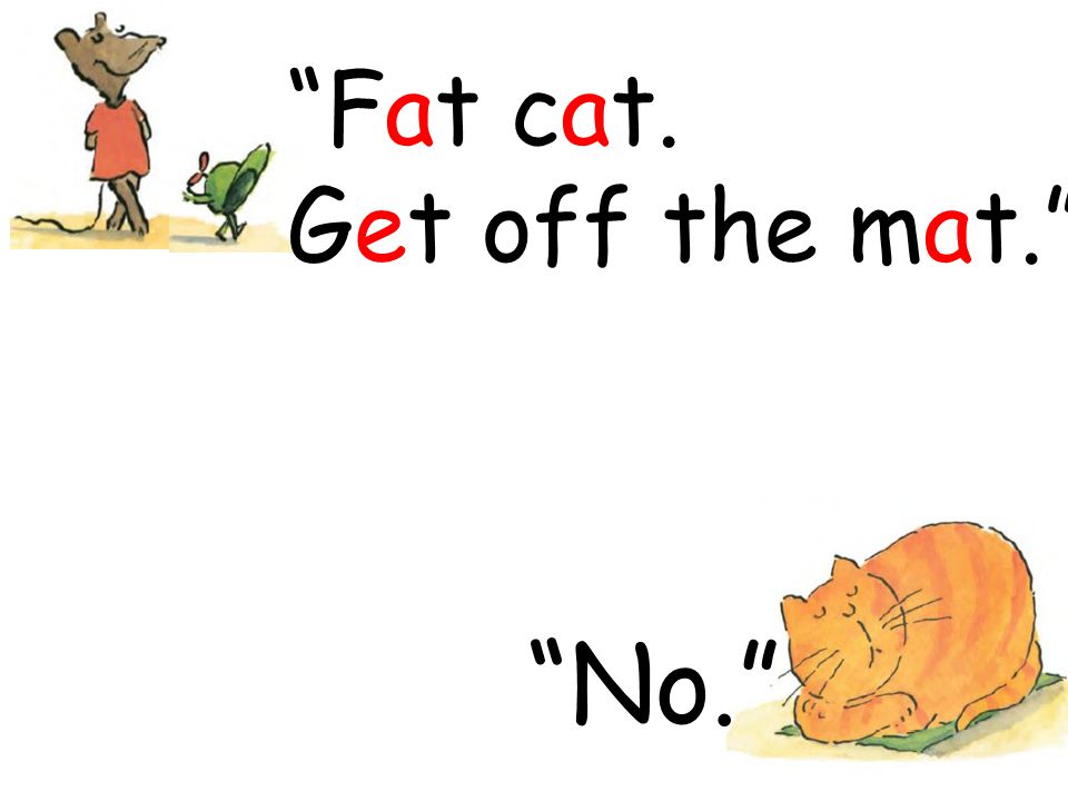 No. Fat cat. Get off the mat.