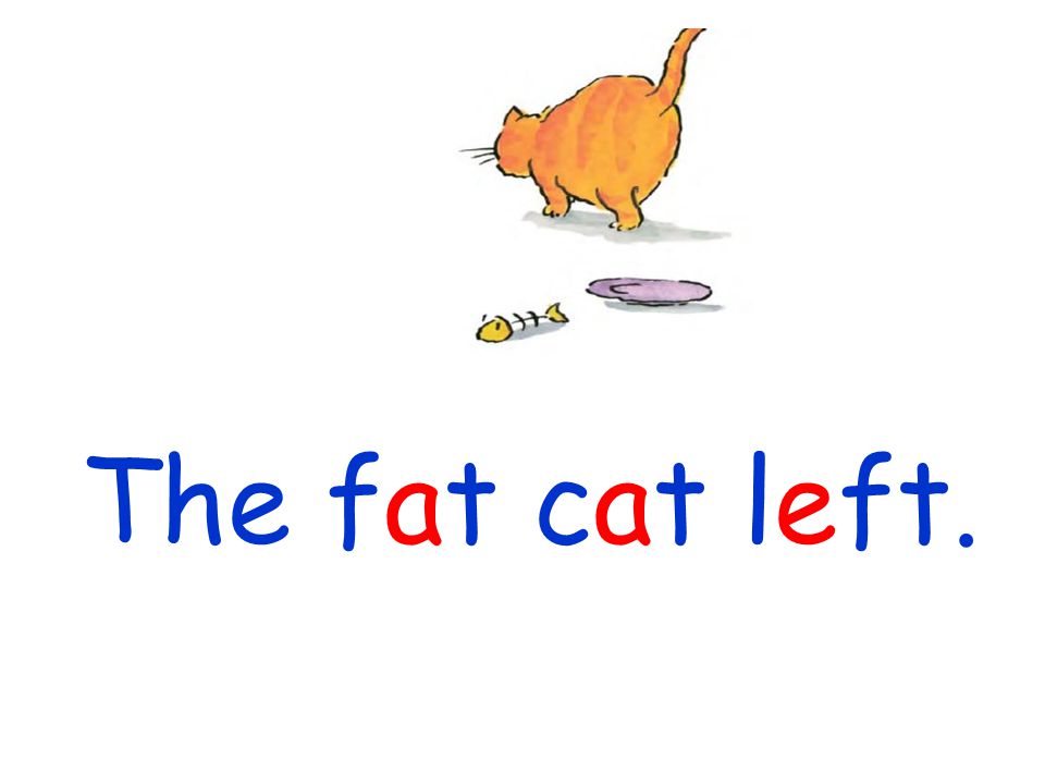 The fat cat left.