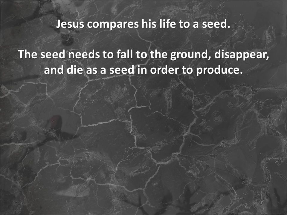 The seed needs to fall to the ground, disappear, and die as a seed in order to produce.