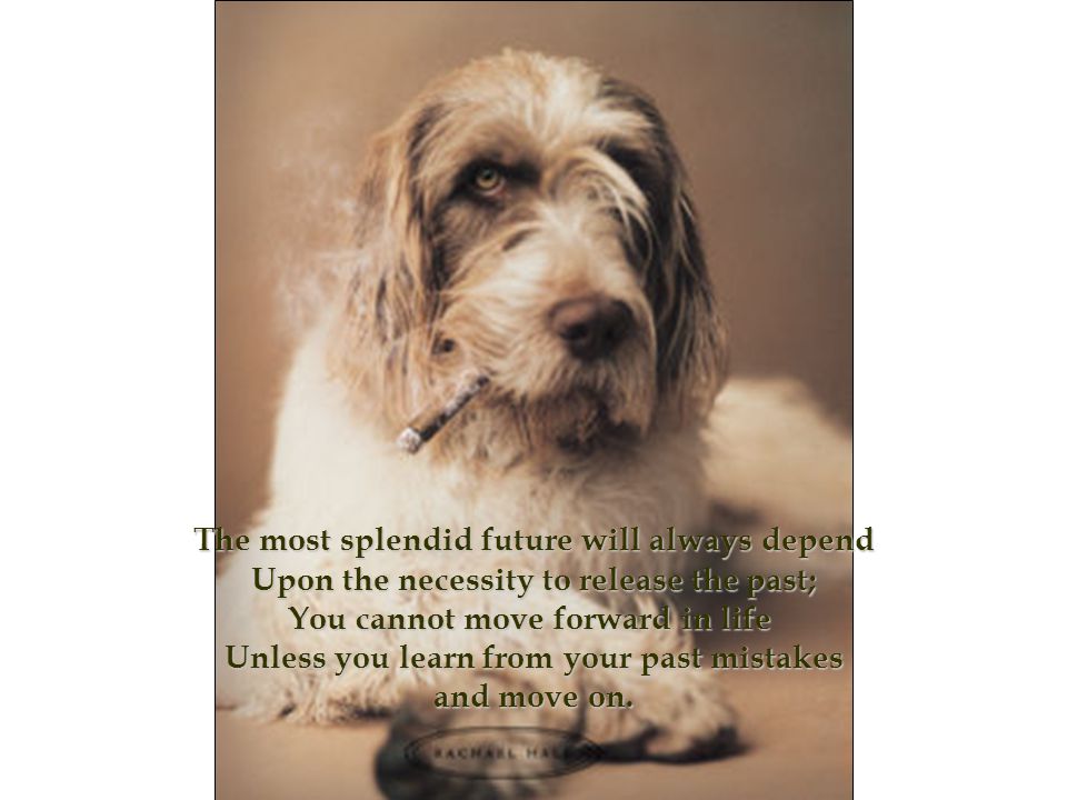 The most splendid future will always depend Upon the necessity to release the past; You cannot move forward in life Unless you learn from your past mistakes and move on.