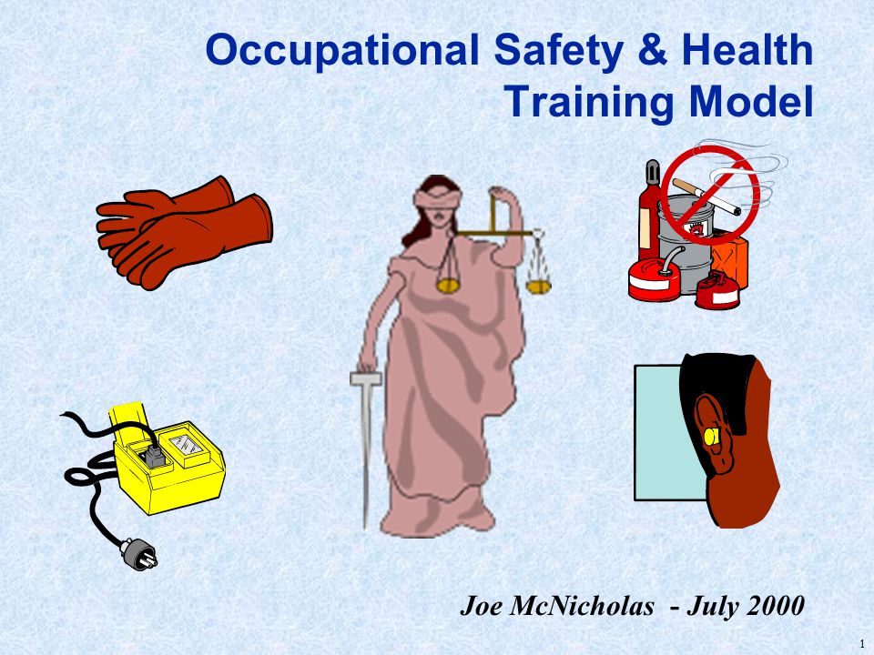 1 Occupational Safety & Health Training Model Joe McNicholas - July 2000