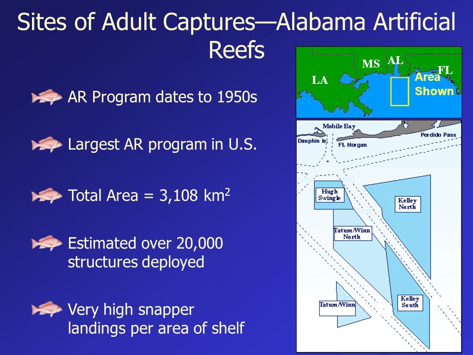 Total Area = 3,108 km 2 Sites of Adult Captures—Alabama Artificial Reefs Largest AR program in U.S.