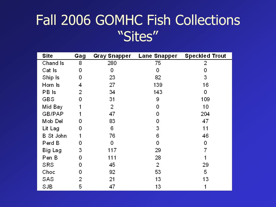 Fall 2006 GOMHC Fish Collections Sites