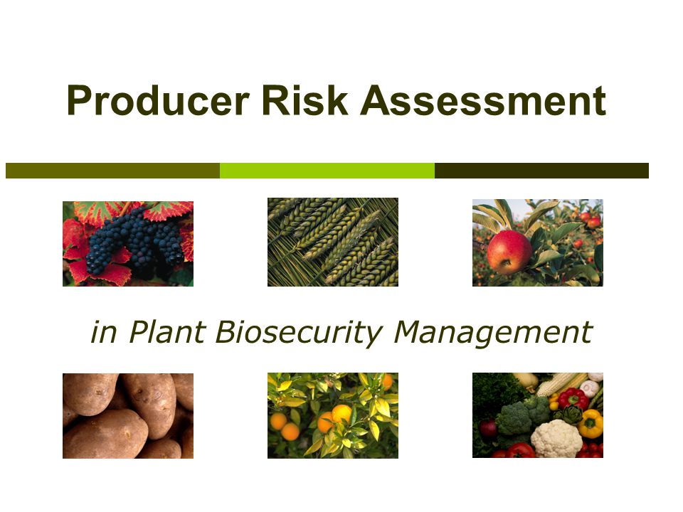 Producer Risk Assessment in Plant Biosecurity Management