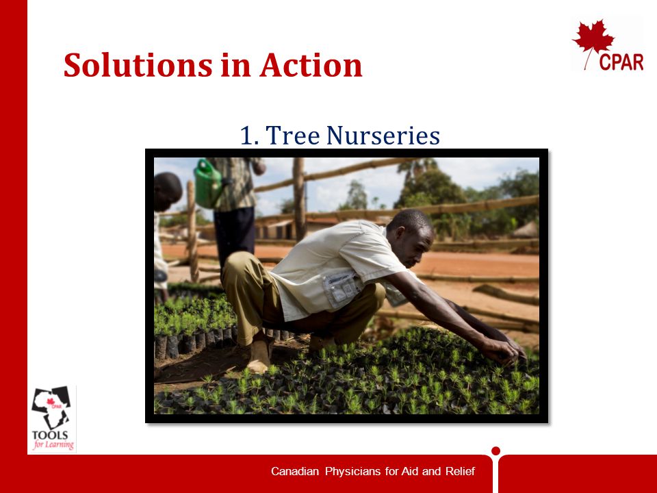 Canadian Physicians for Aid and Relief Solutions in Action 1. Tree Nurseries