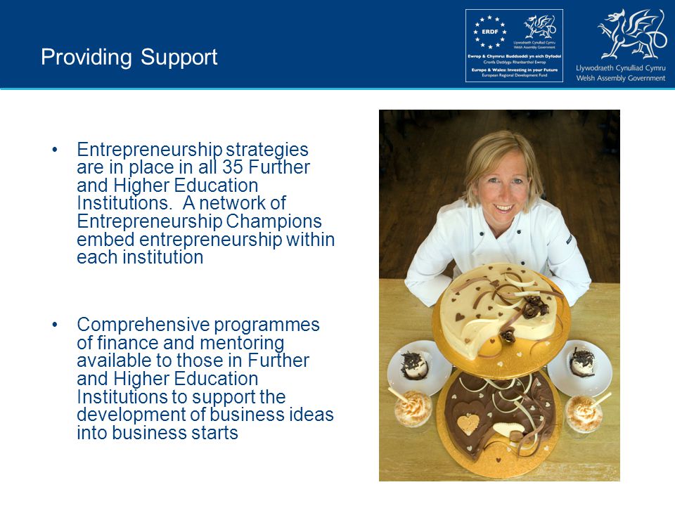 Providing Support Entrepreneurship strategies are in place in all 35 Further and Higher Education Institutions.