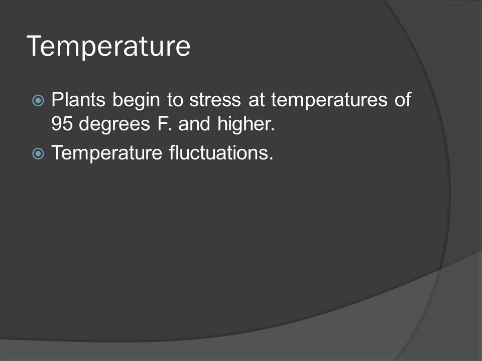 Temperature  Plants begin to stress at temperatures of 95 degrees F.