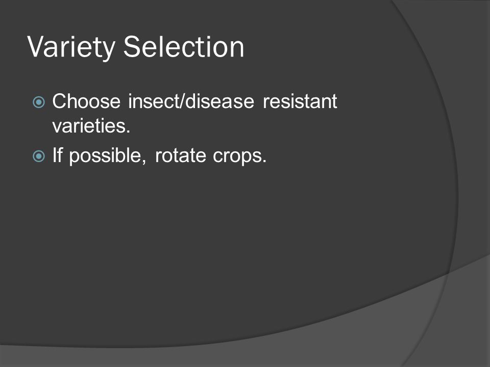 Variety Selection  Choose insect/disease resistant varieties.  If possible, rotate crops.
