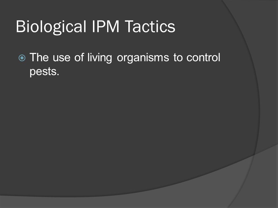 Biological IPM Tactics  The use of living organisms to control pests.