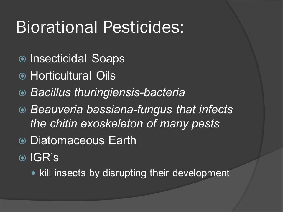 Biorational Pesticides:  Insecticidal Soaps  Horticultural Oils  Bacillus thuringiensis-bacteria  Beauveria bassiana-fungus that infects the chitin exoskeleton of many pests  Diatomaceous Earth  IGR’s kill insects by disrupting their development