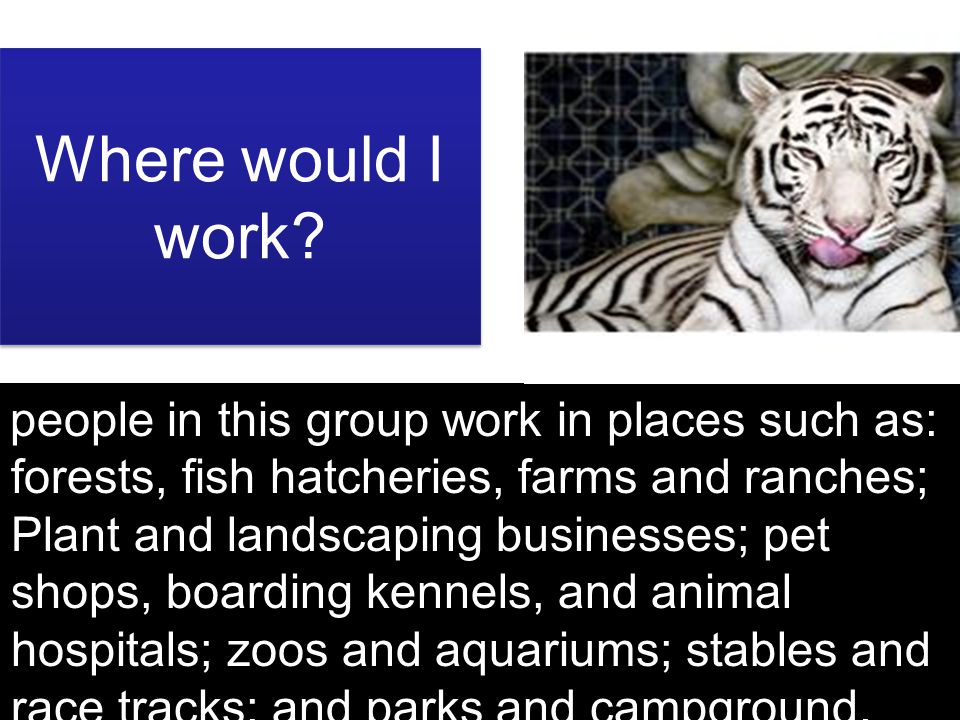 people in this group work in places such as: forests, fish hatcheries, farms and ranches; Plant and landscaping businesses; pet shops, boarding kennels, and animal hospitals; zoos and aquariums; stables and race tracks; and parks and campground.