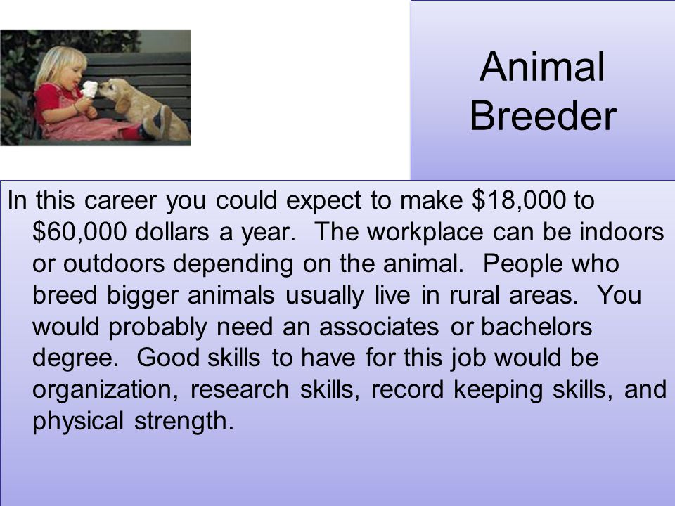 Animal Breeder In this career you could expect to make $18,000 to $60,000 dollars a year.