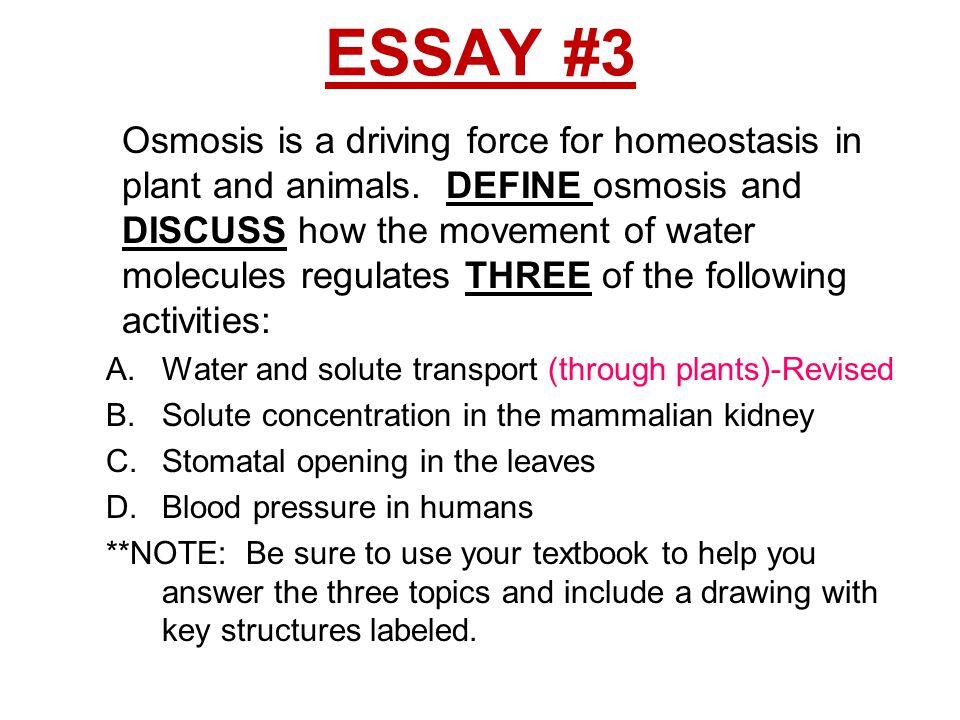 how osmosis affects a potato chip essay how osmosis affects a potato chip essay