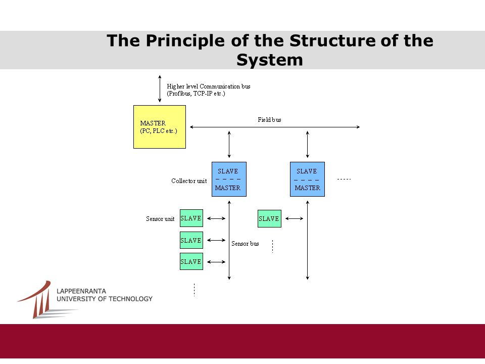 The Principle of the Structure of the System