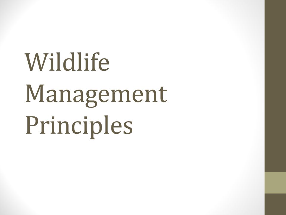 Wildlife Management Principles