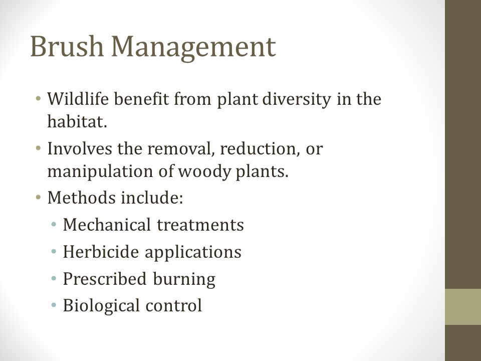 Brush Management Wildlife benefit from plant diversity in the habitat.