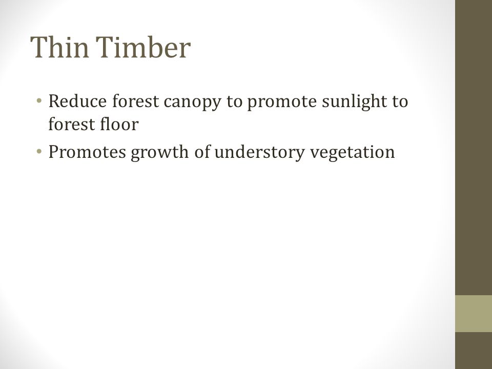 Thin Timber Reduce forest canopy to promote sunlight to forest floor Promotes growth of understory vegetation