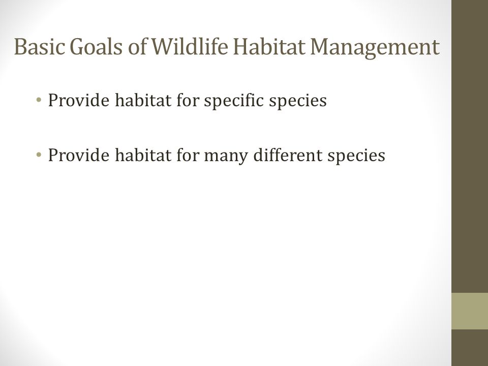 Basic Goals of Wildlife Habitat Management Provide habitat for specific species Provide habitat for many different species