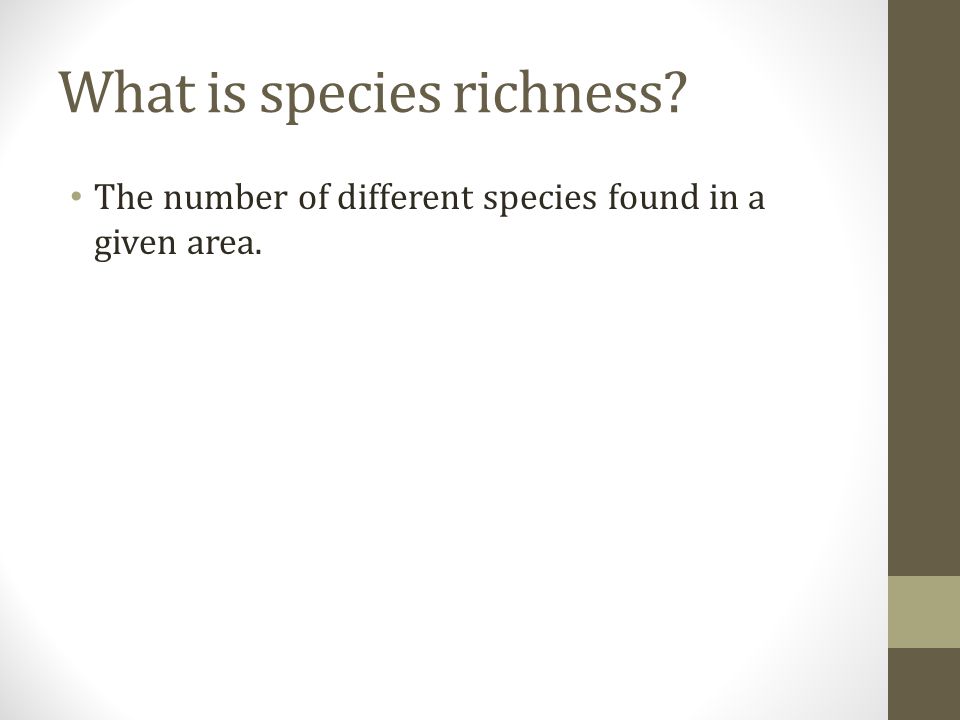 What is species richness The number of different species found in a given area.