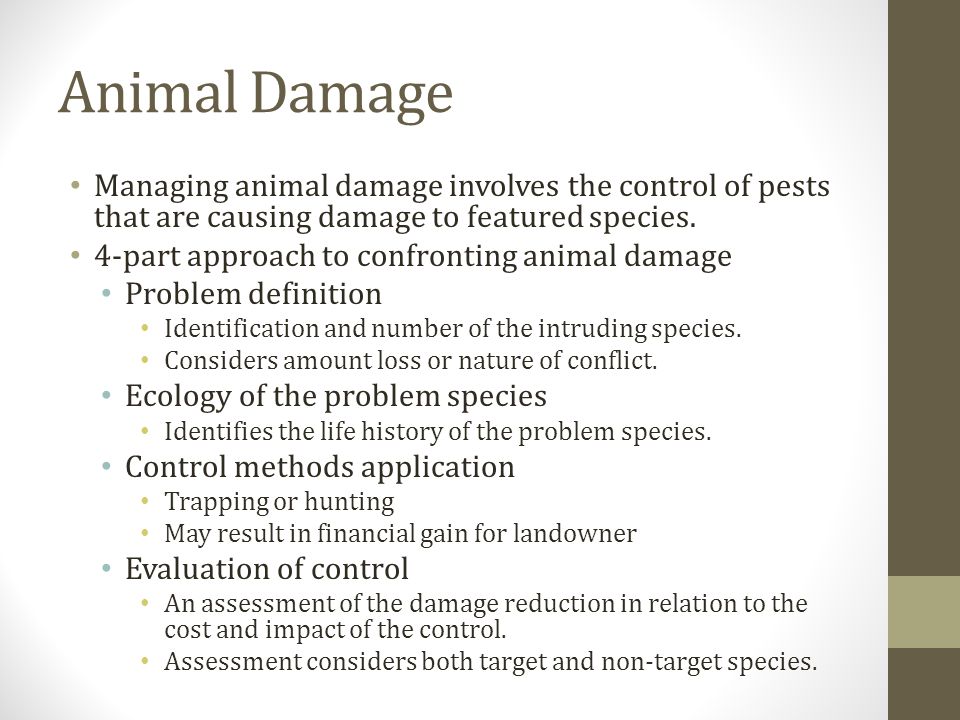 Animal Damage Managing animal damage involves the control of pests that are causing damage to featured species.